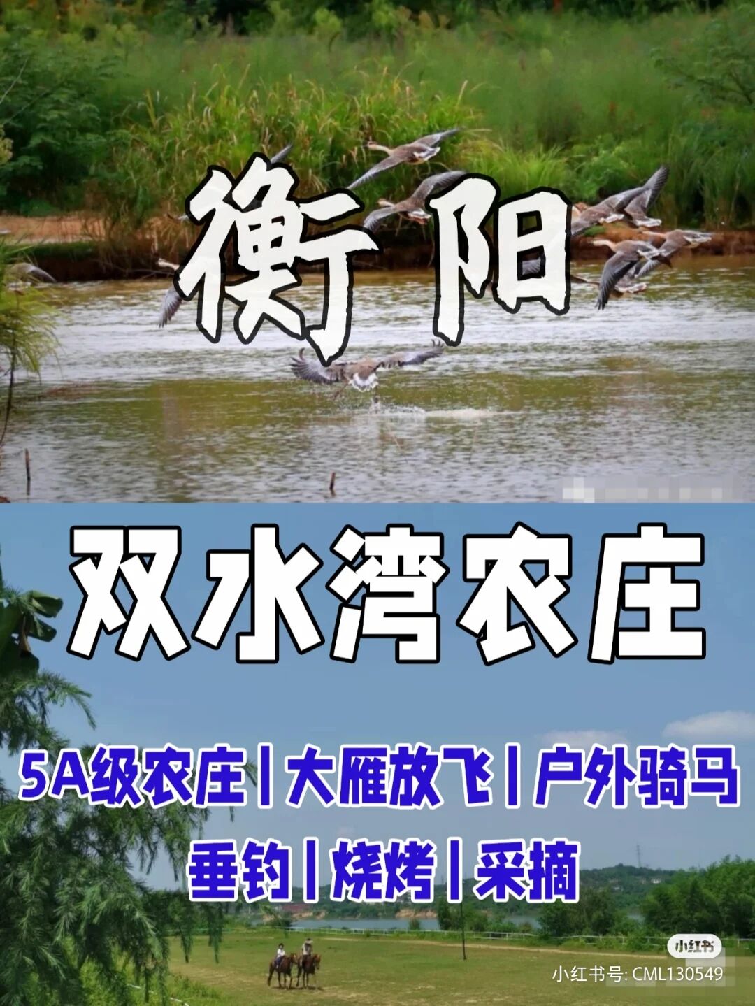 感受原生态 爱上大自然