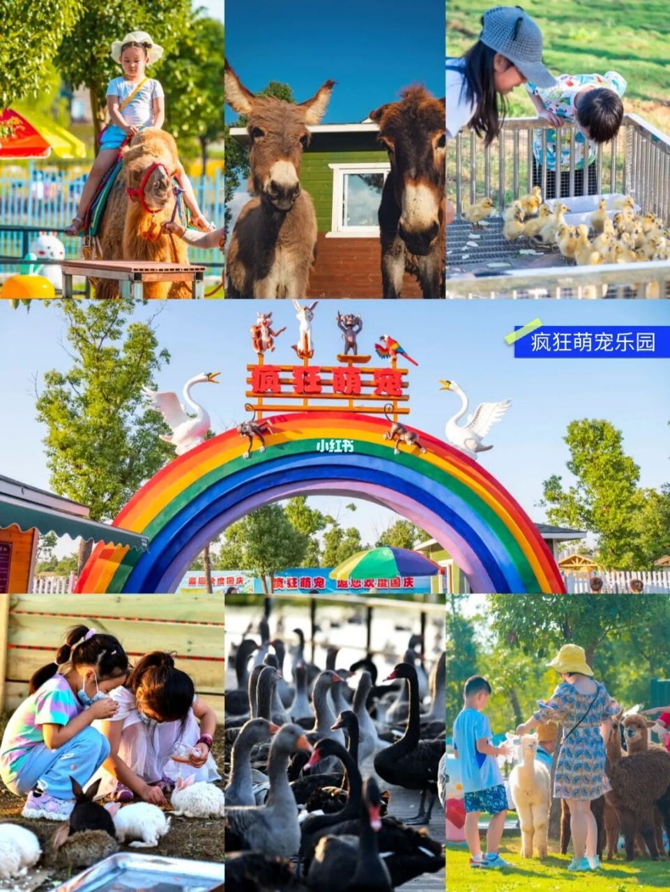 武汉海洋乐园+欢乐谷+花博会两日游