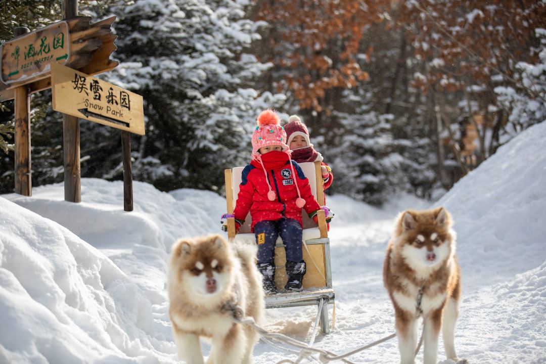 0201w1200087fzaom3CC7_W_1080_808_R5_D